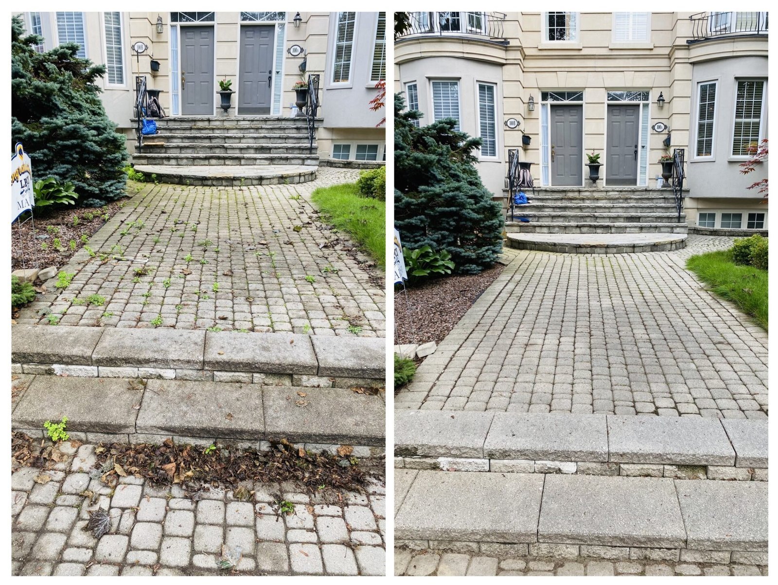 Before and after of a garden maintenance visit
