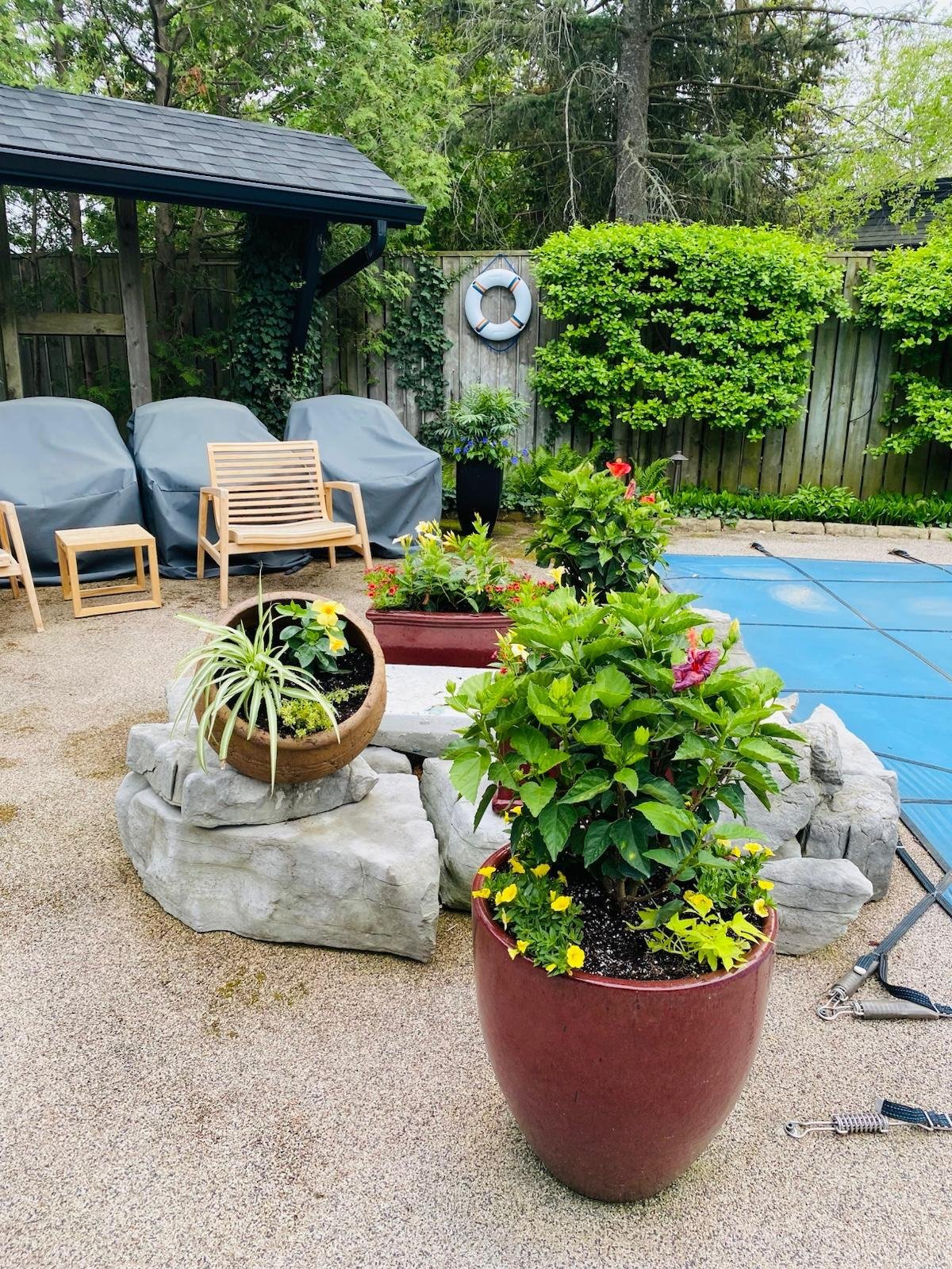 Decorated seasonal container planting