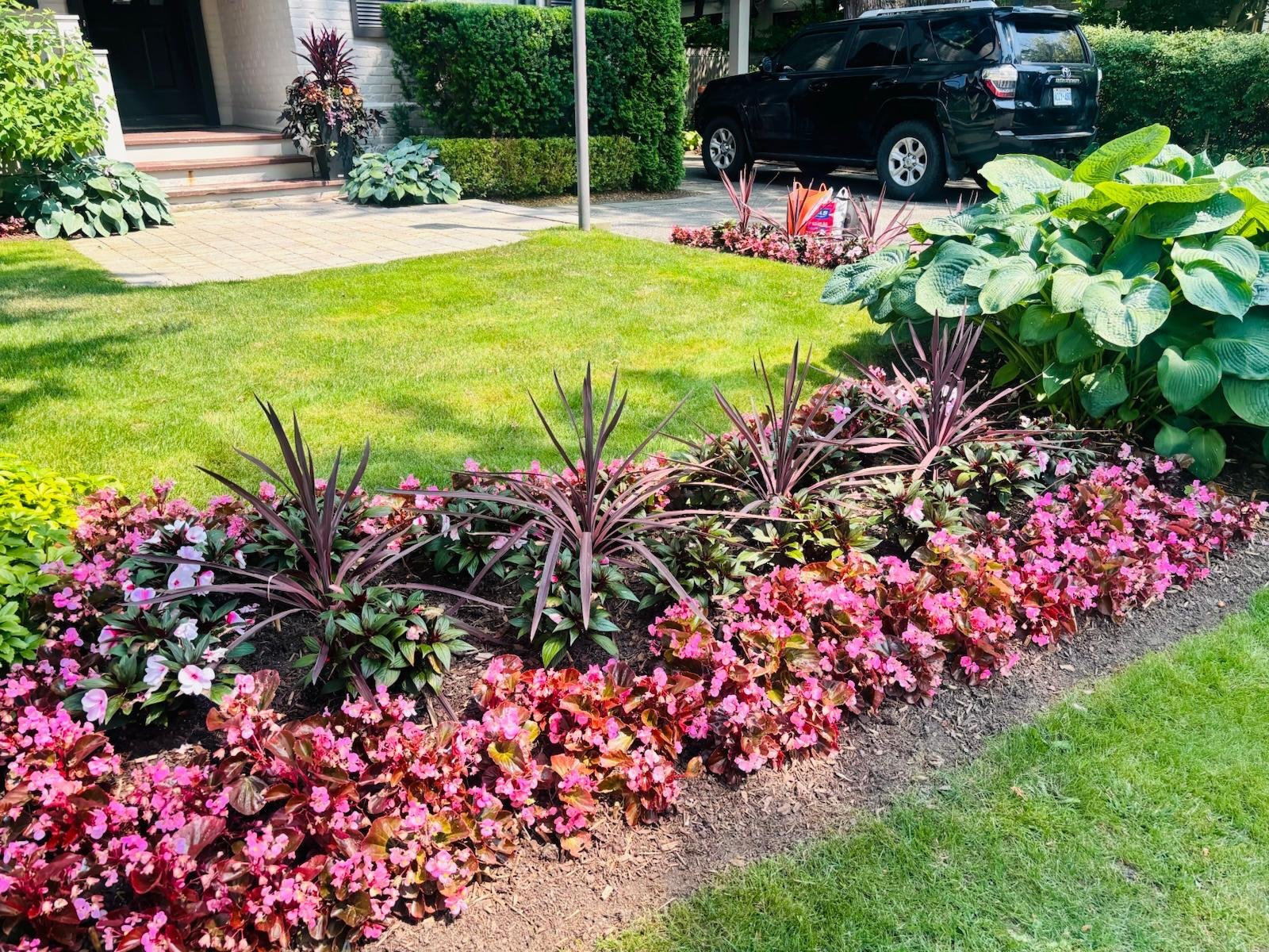 Spring flowers newly planted in a garden bed