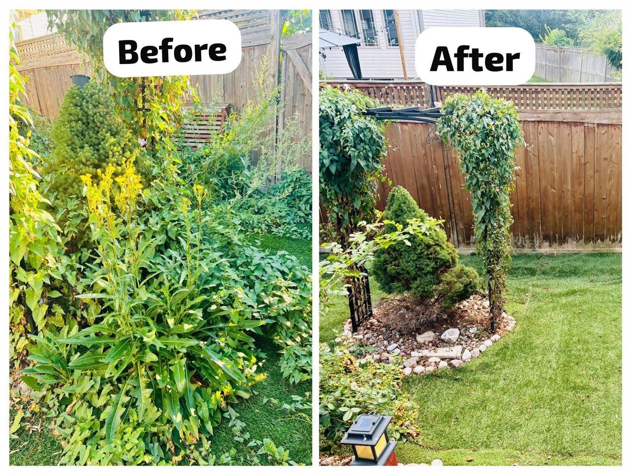 Before and after of a brick path and steps cleaned up