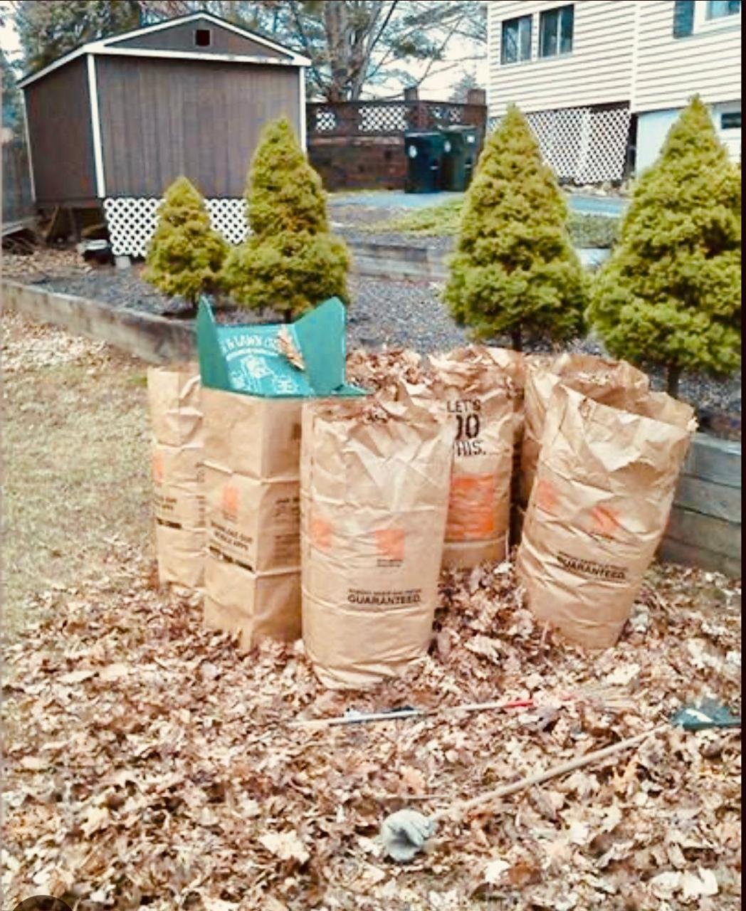 Garden bed cleared and mulched during a seasonal cleanup