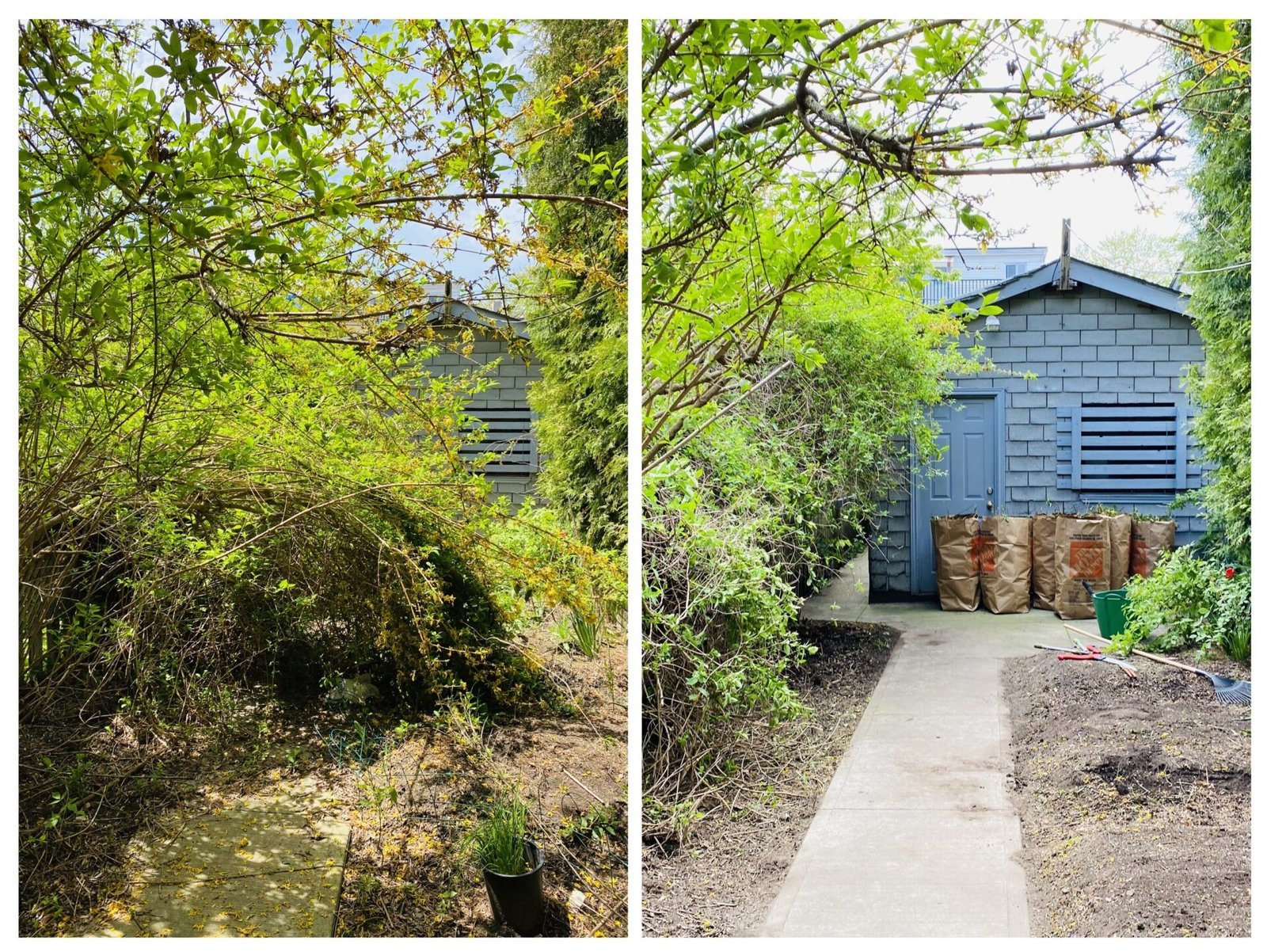 Before and after of a border cleanup