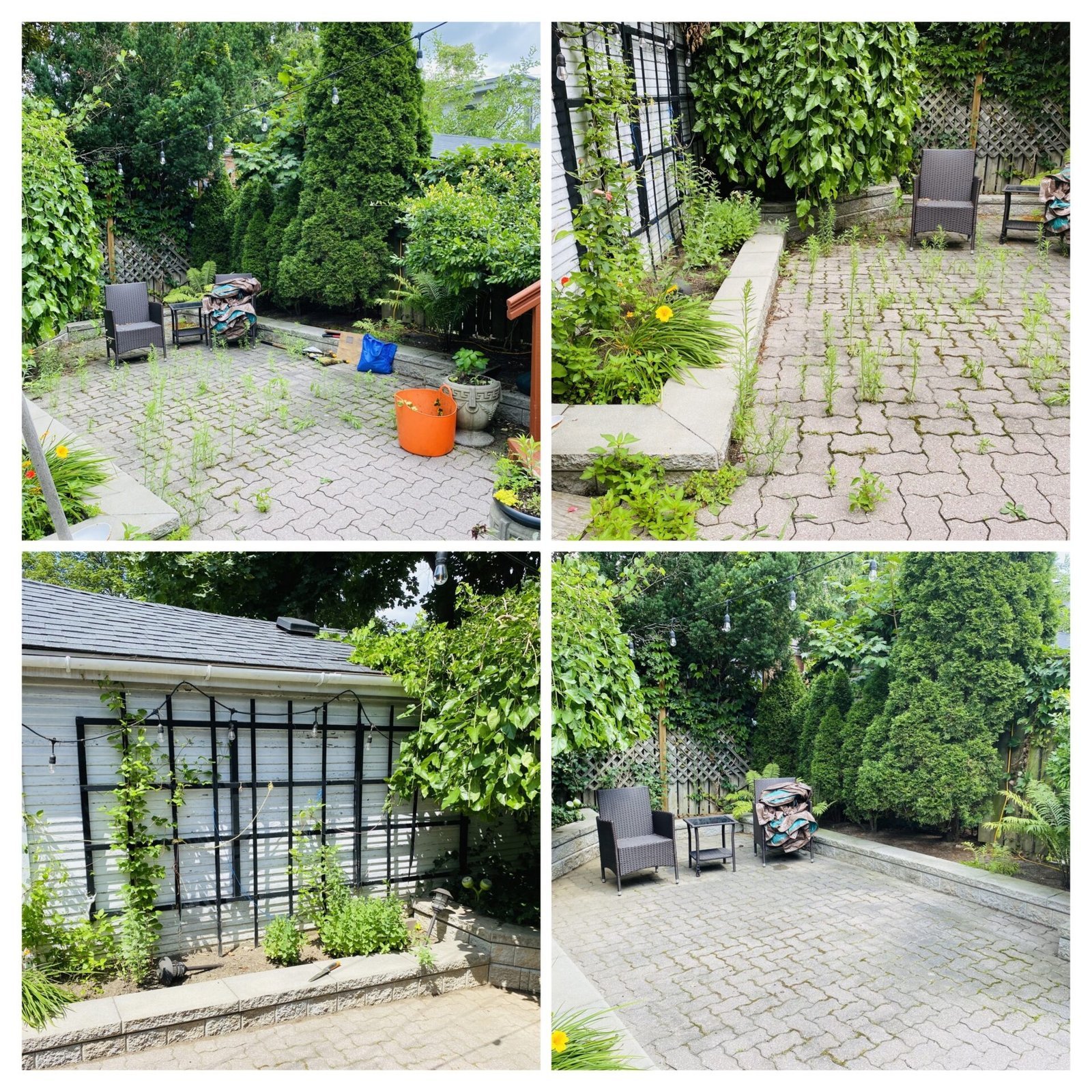 Before and after of a garden reset