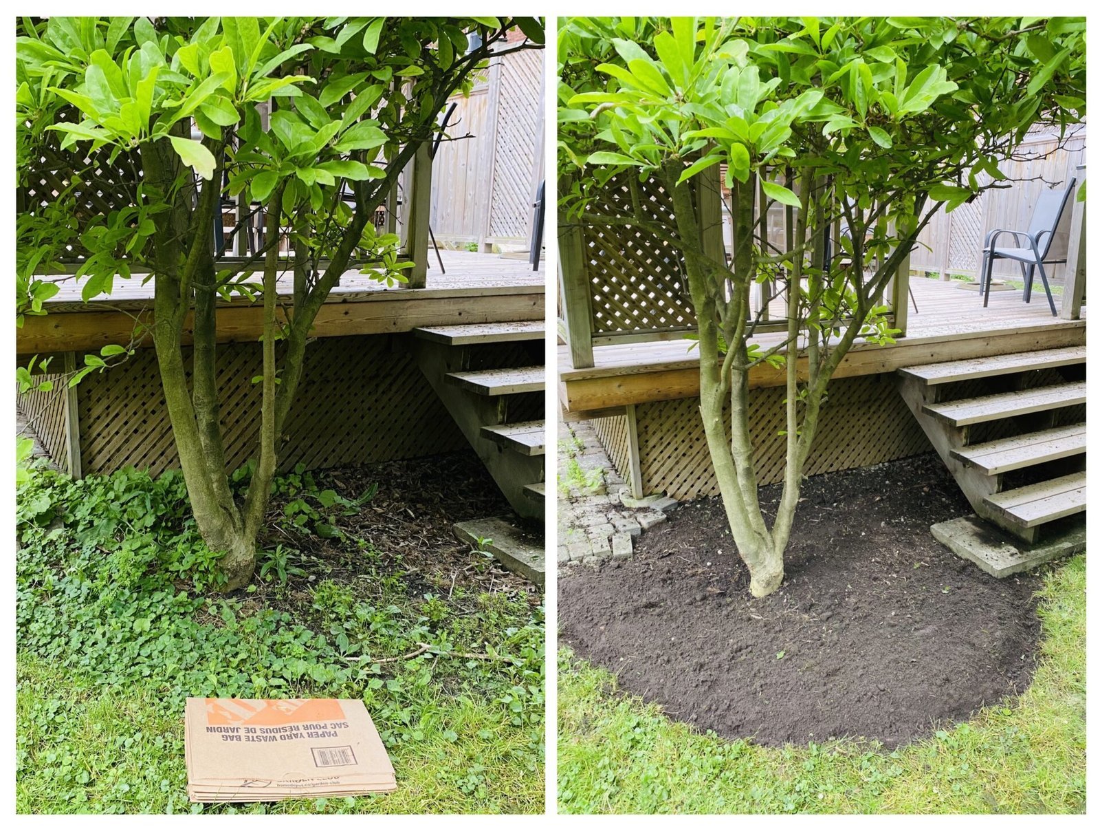 Before and after of a seasonal cleanup