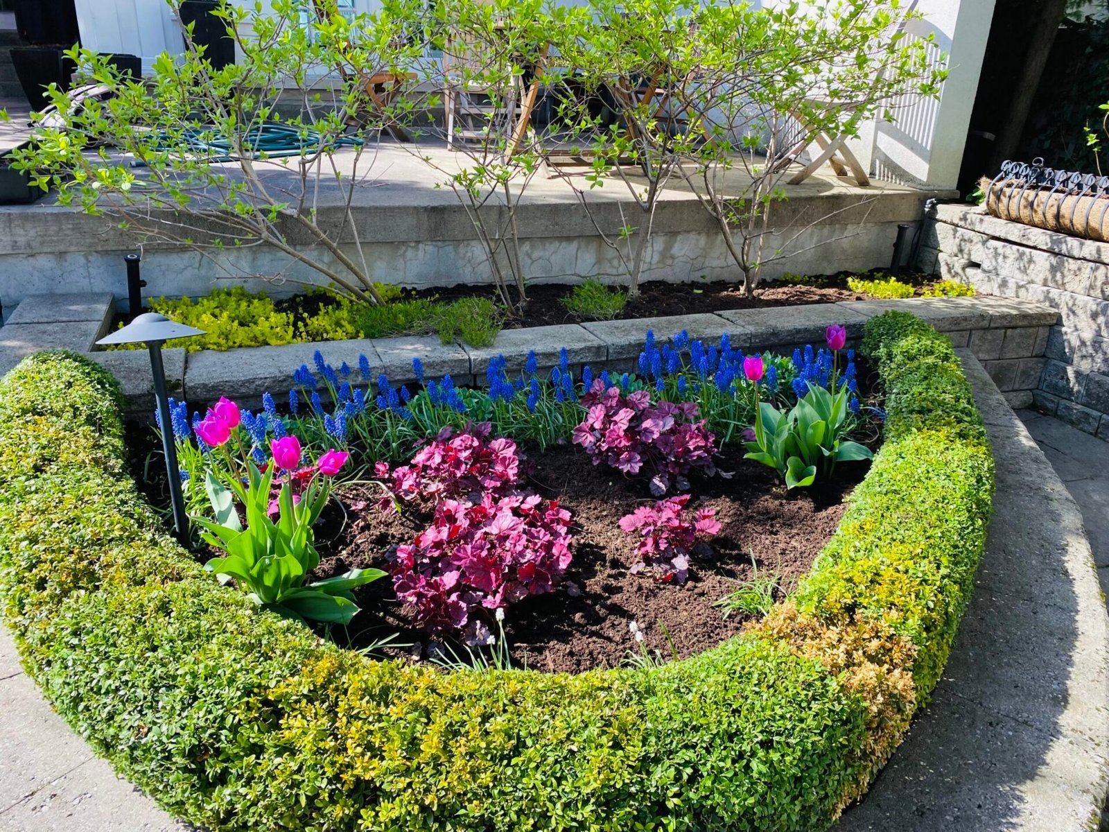 Garden border in good order