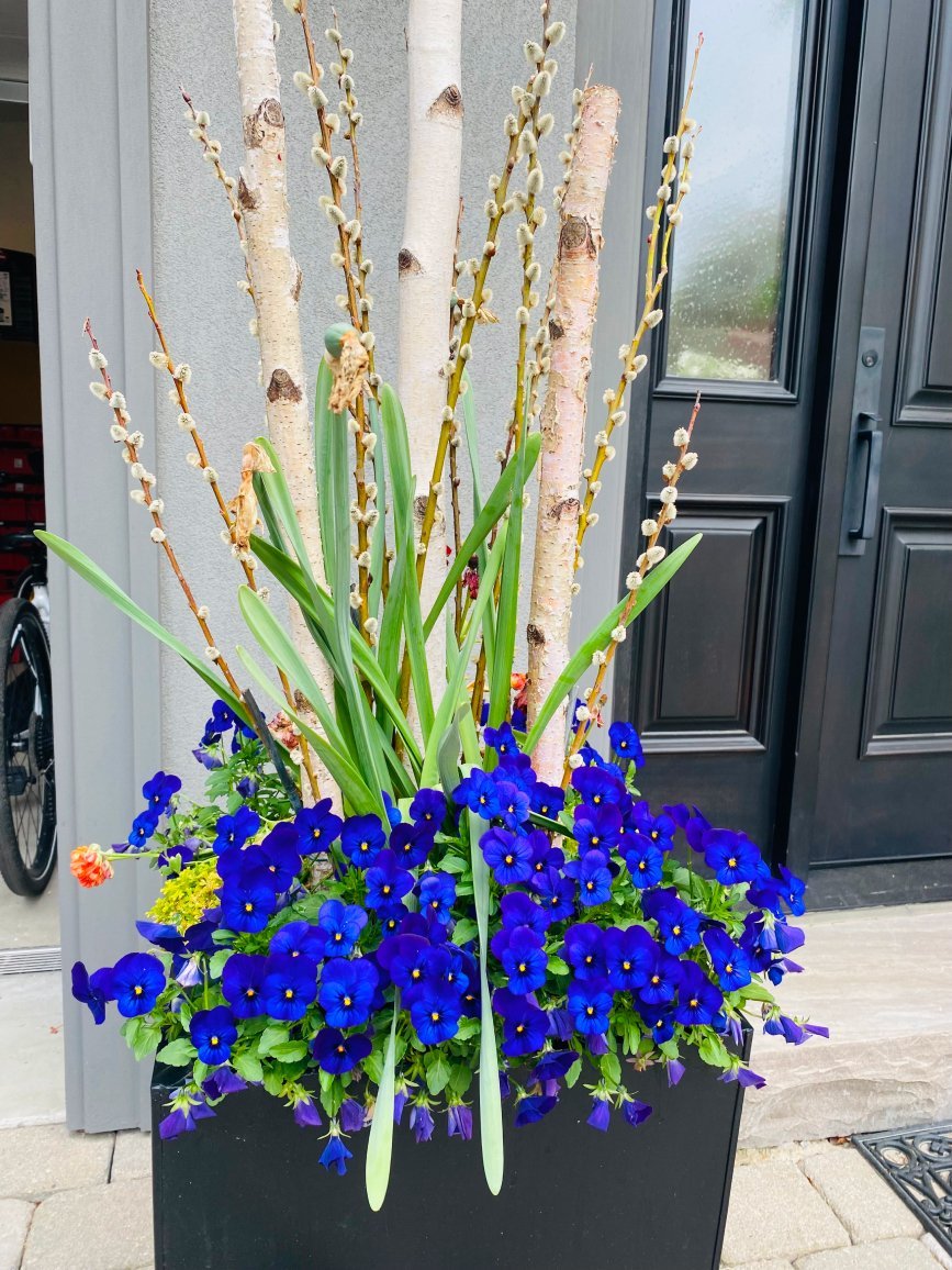 Seasonal planting in a garden border