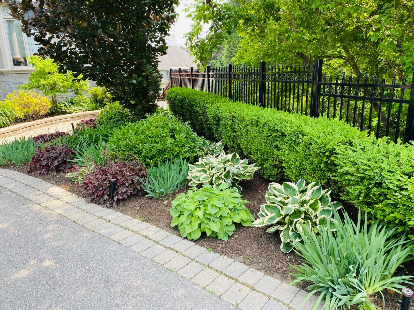 Cleared garden border
