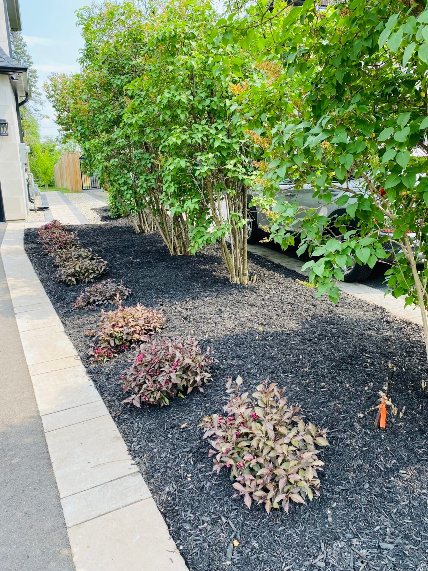 Garden bed after weeding