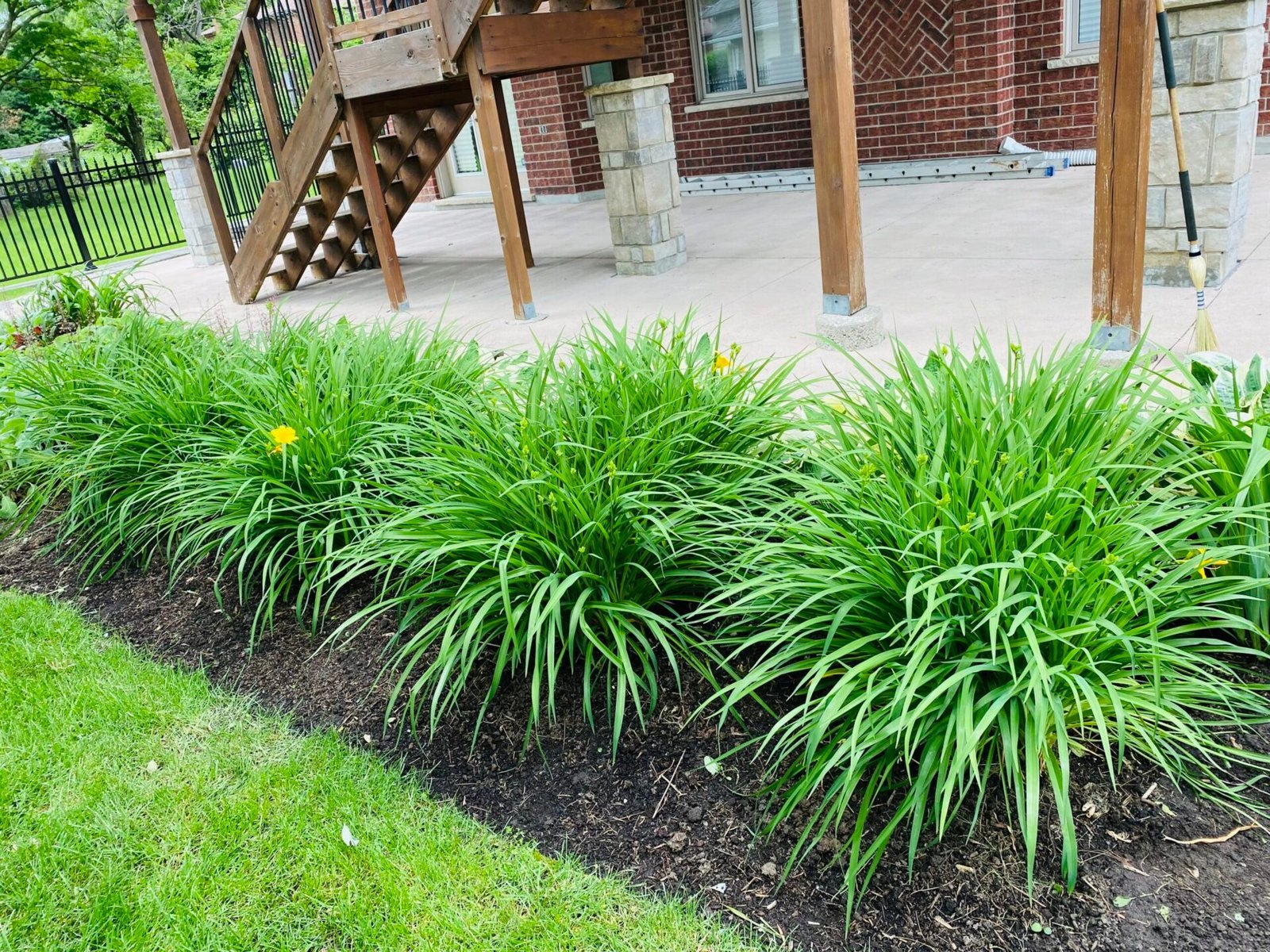 Border planting after maintenance