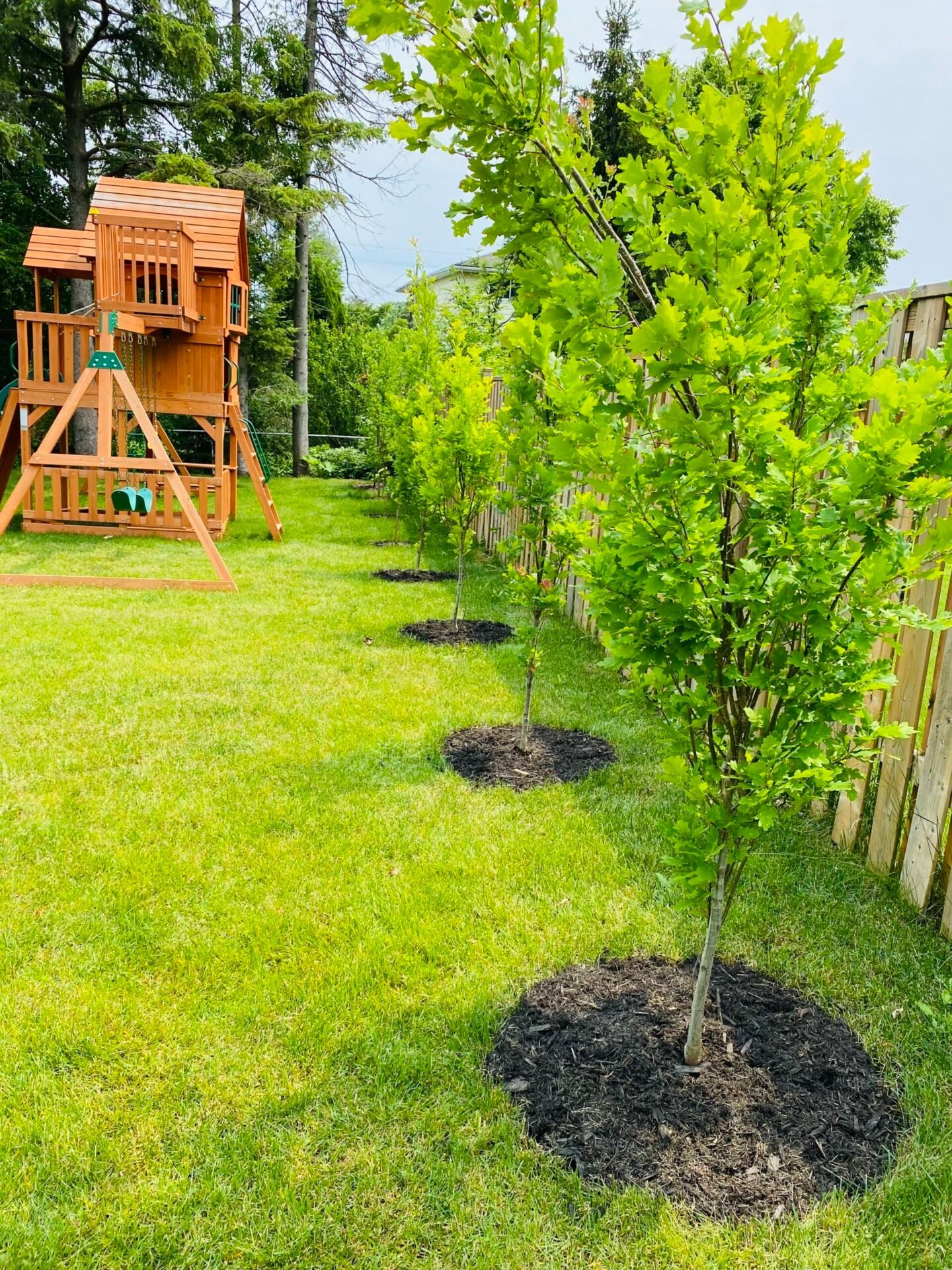 Garden bed with fresh mulch
