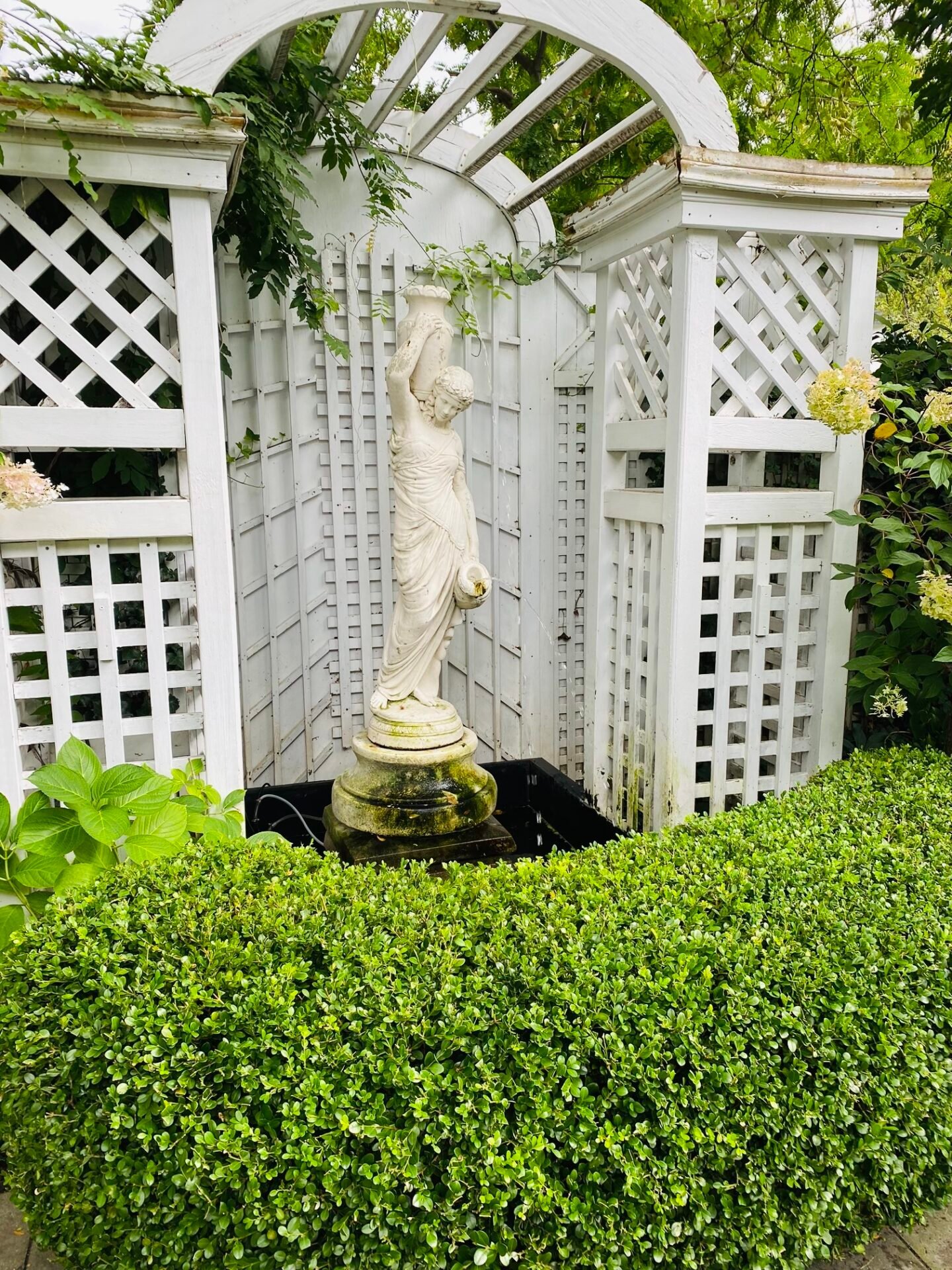 Garden after a maintenance visit