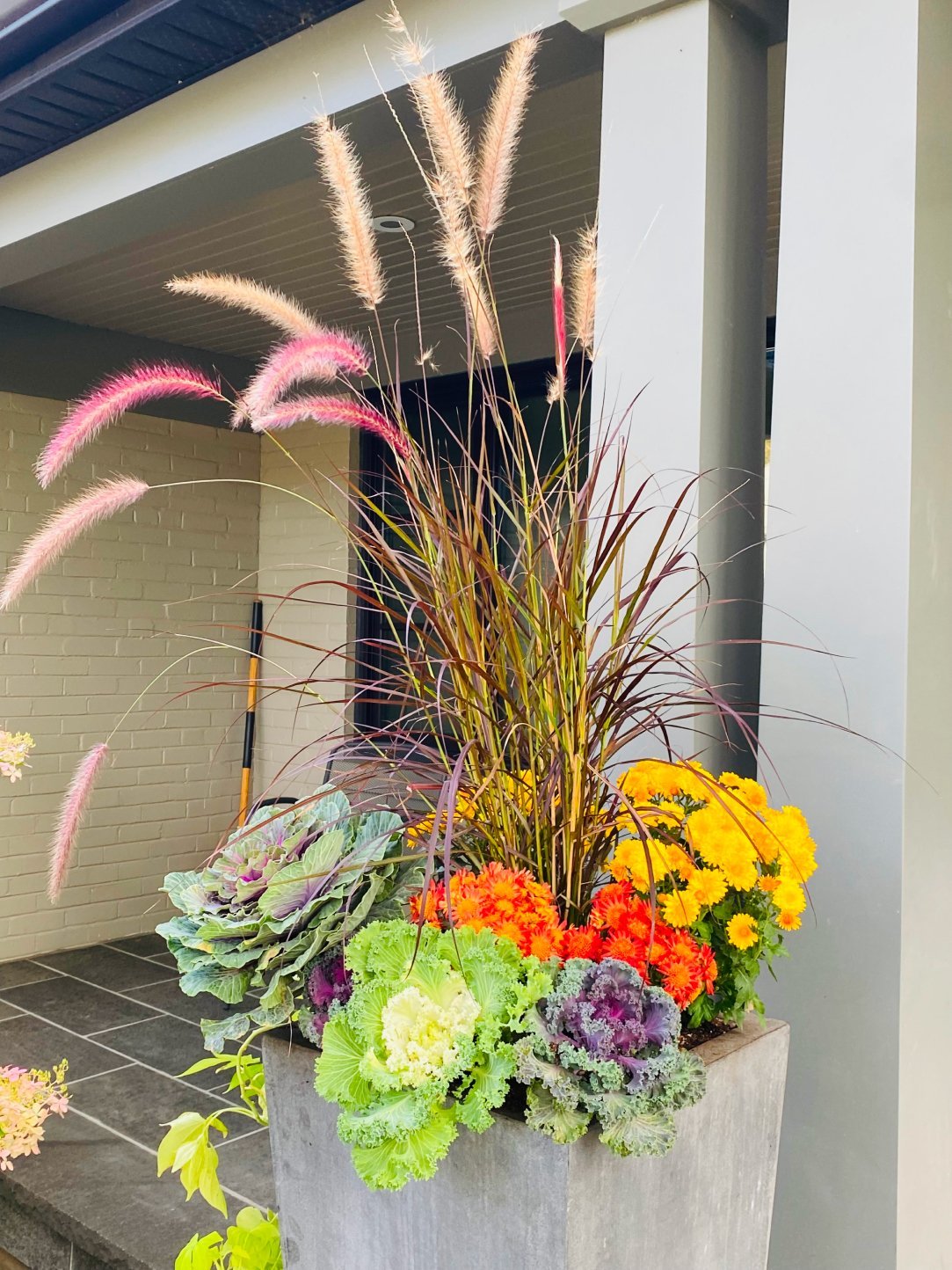 Flowers in bloom after planting