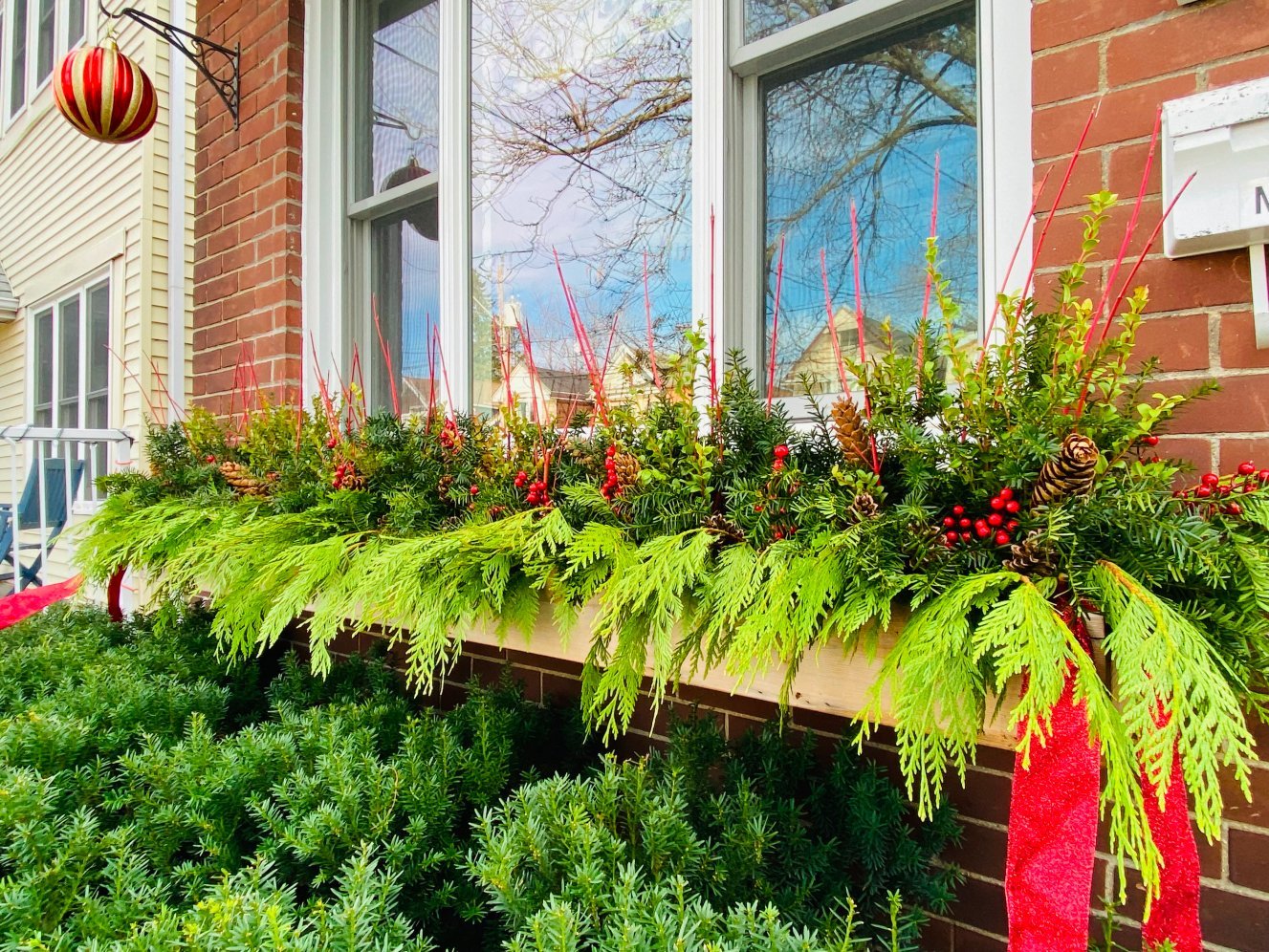 Planted window box with trailing evergreens