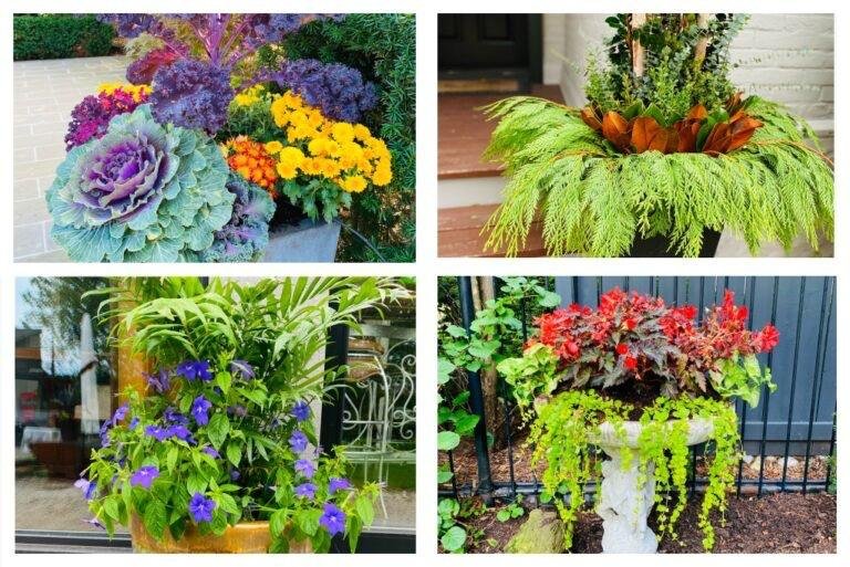 Seasonal container displays planted for the porch