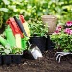 Garden tools and pots ready for planting