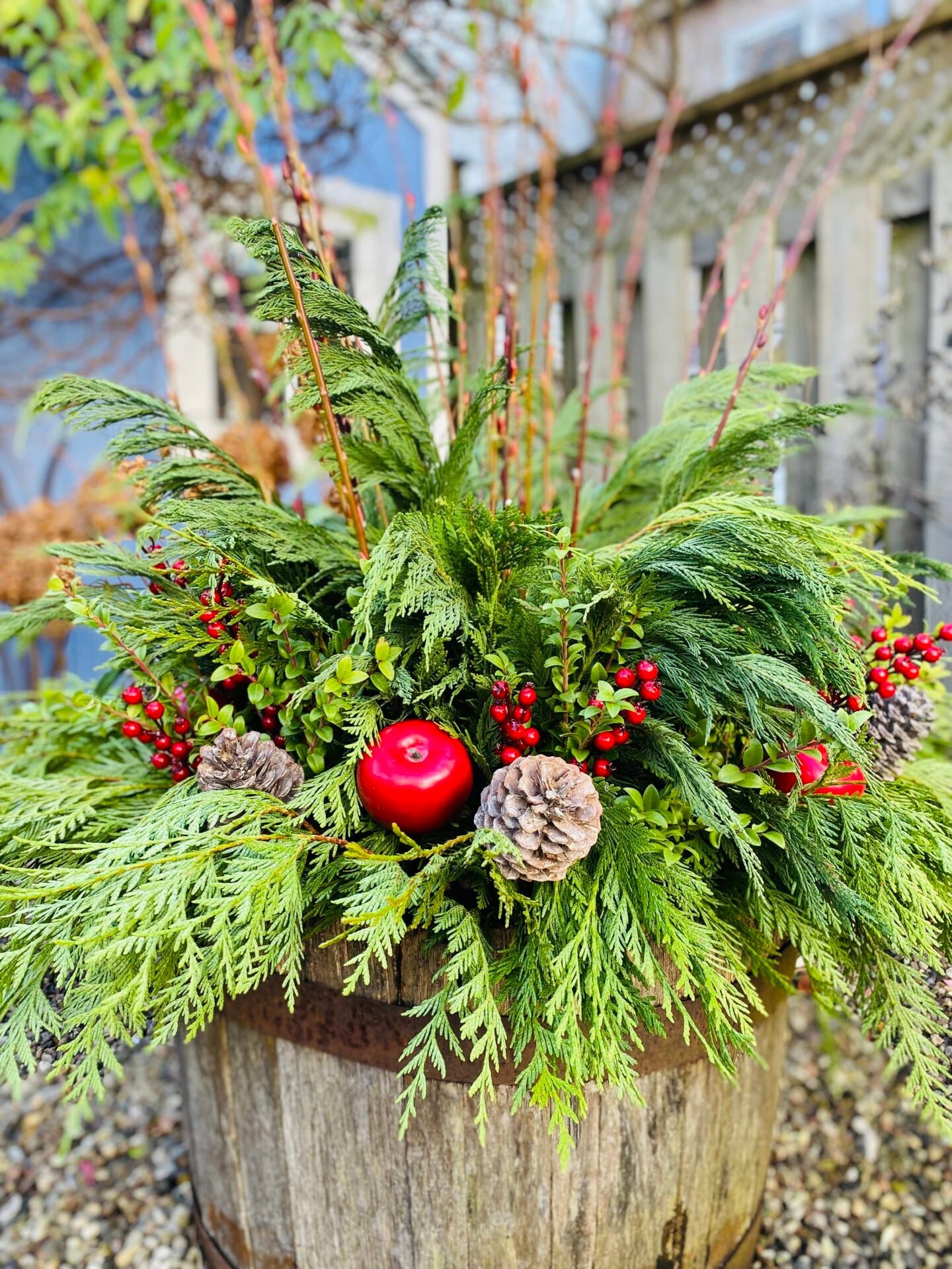 Seasonal planting in bloom